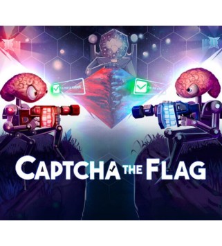 Captcha The Flag Steam Key GLOBAL